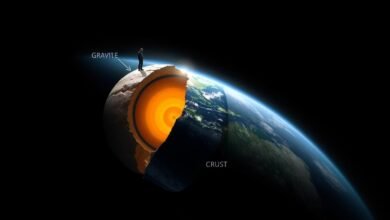 Gravitasi Bumi dalam Ilmu Fisika